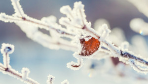 winter