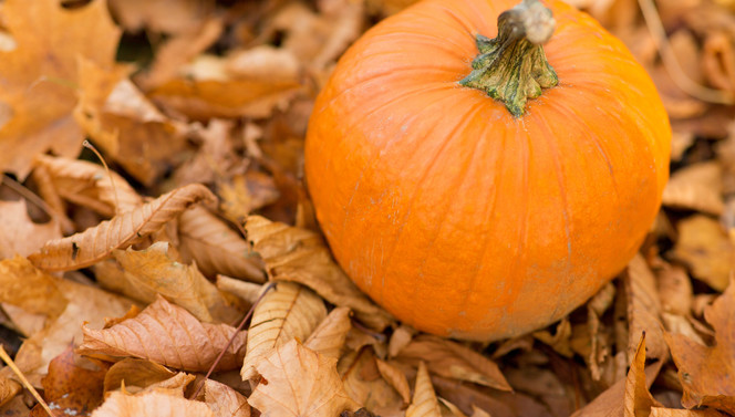herfst
